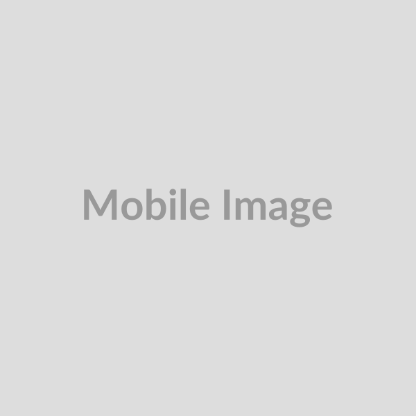 Allt text